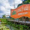 Lotus Field Homestay