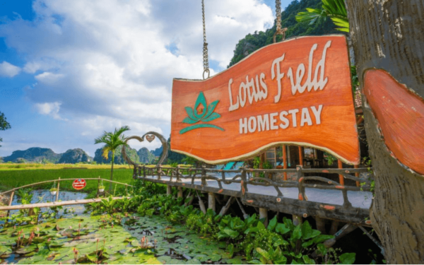 Lotus Field Homestay