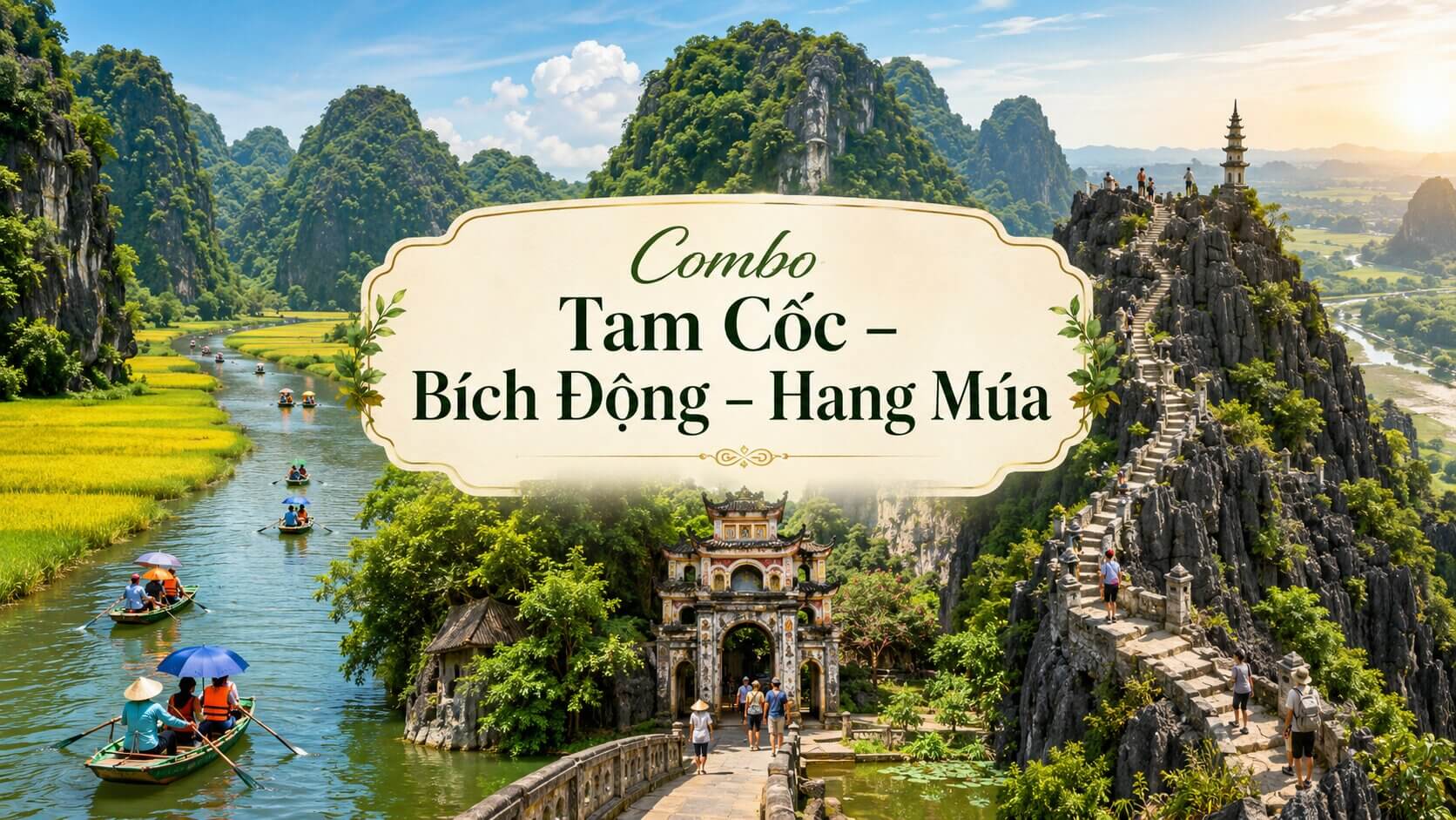 Combo Tam Cốc Bích Động Hang Múa Ninh Bình