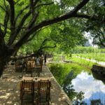 Lunch at a local countryside restaurant