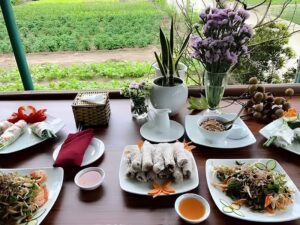 Ninh Binh local travel scenery and countryside stop