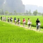 Nature walk through rice fields