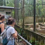 Bear sanctuary and conservation stories