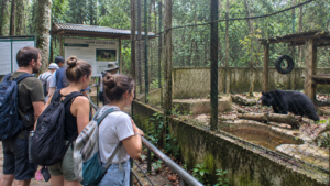 Nature and wildlife experience in Cuc Phuong National Park