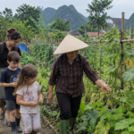 Explore the garden and seasonal plants