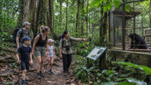 Cuc Phuong National Park forest trail in Ninh Binh