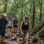 Guided forest trek