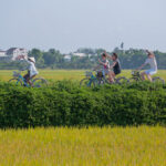 Village lanes and local morning life