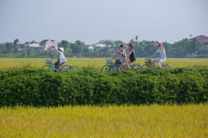 Sunrise or Sunset Countryside Photography in Ninh Binh photo 3