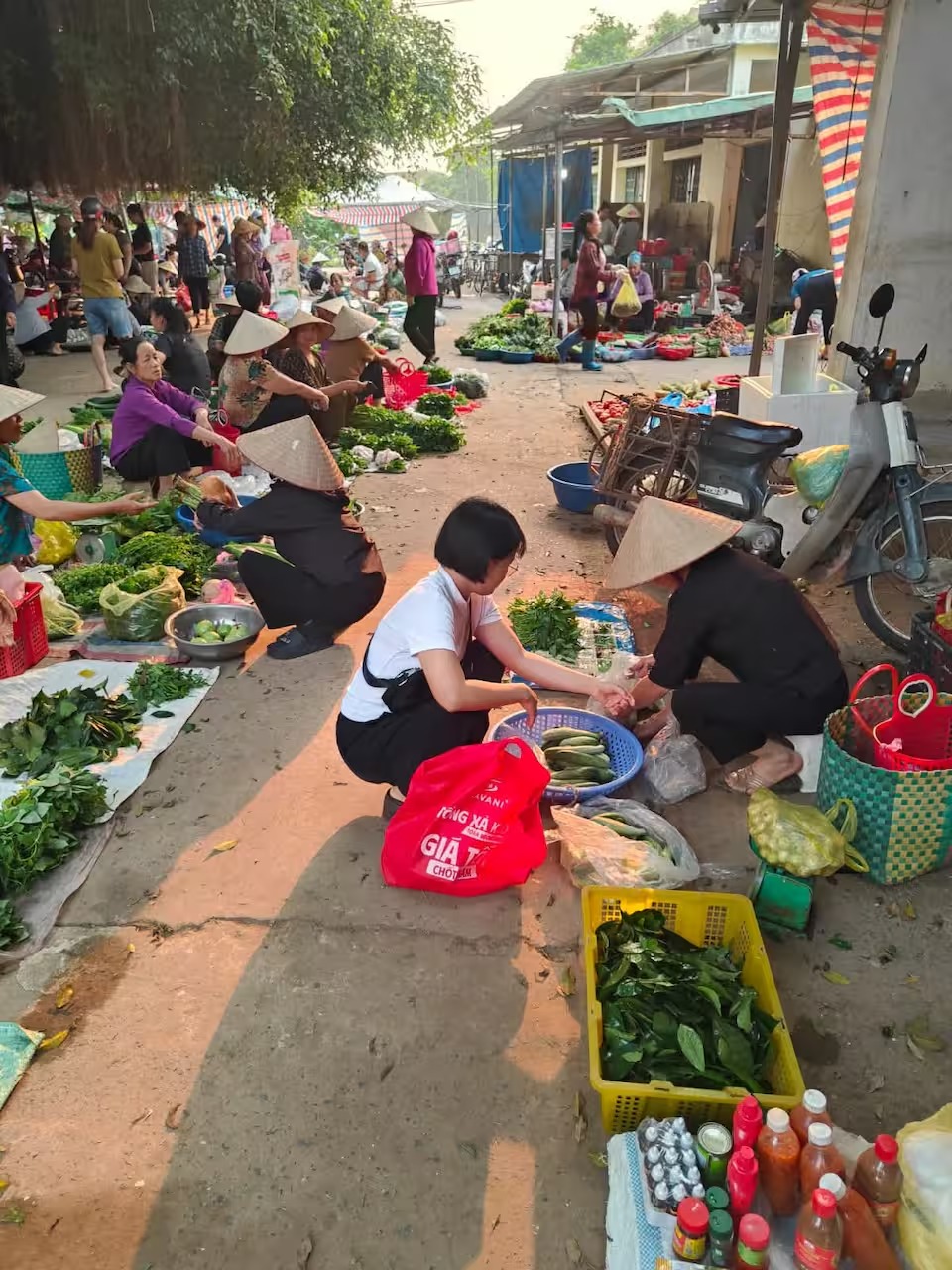 Best Cooking Classes in Ninh Binh: Farmhouse, Market and Family Kitchen Options - Ninh Bình Local Tour - Cho thuê xe máy tại Ninh Bình Why choose a cooking class in Ninh Binh?