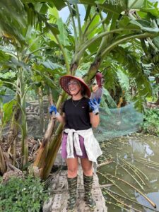 Harvesting fresh produce in a Ninh Binh family garden