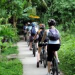 Cycle back to the meeting point